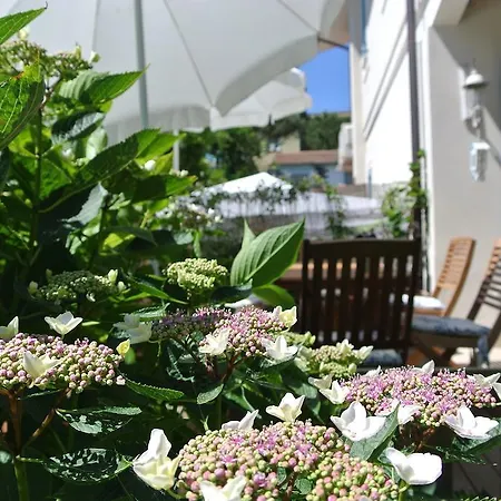 Casa Grischuna * Lido di Camaiore