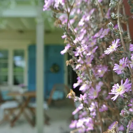 Bed & Breakfast Casa Grischuna *